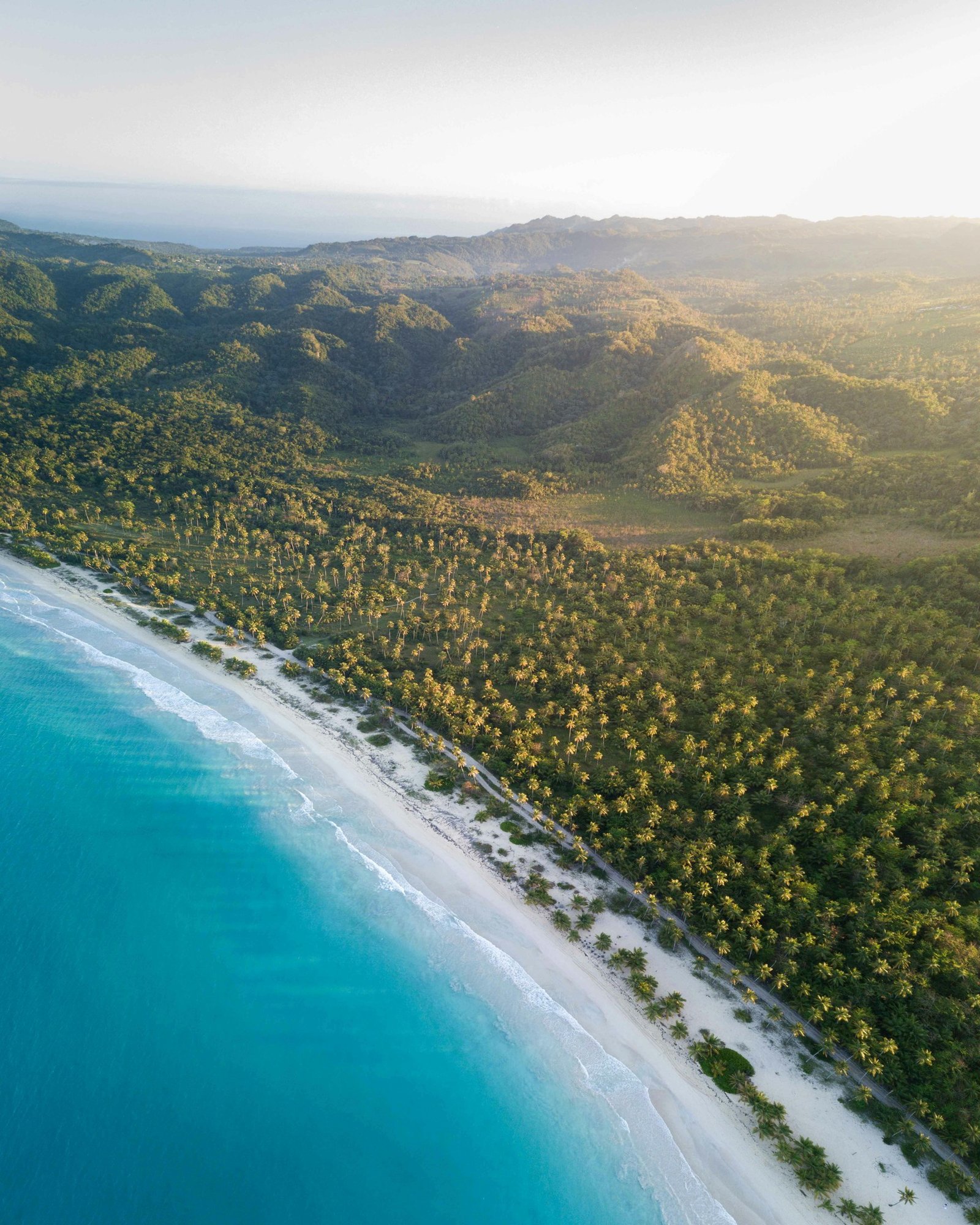 Samaná’s forested coastline